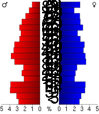 Pyramide des âges.