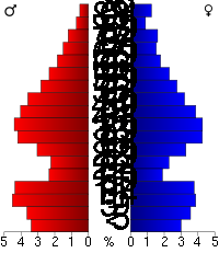 Pyramide des âges.