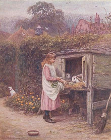 Une jeune fille en tablier nourrit ses lapins logés dans une cabane de bois sur pieds