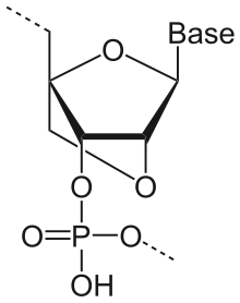 LNA-Monomer.svg