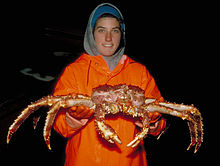 Une jeune femme tenant un crabe géant de couleur orangée devant elle