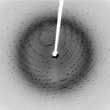 Cliché de diffraction de la protéase virale 3CLpro cristallisée