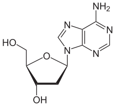 Desoxyadenosin.svg