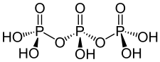 Triphosphorsäure.svg