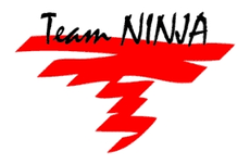Logo-Team Ninja.png