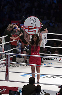 2011 boxing event in Stožice Arena-Dejan zavec IIII.jpg