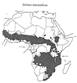 A mozambiki csicsörke elterjedési területe.jpg