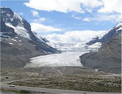 Le glacier Athabasca vu depuis le Promenade des Glaciers