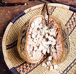  Le pain de singe est le surnom du fruit du baobab