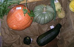  Différentes courges et citrouilles