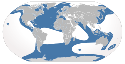 Cypron-Range Orcinus orca.svg