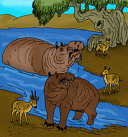  Hippopotamus creutzburgi