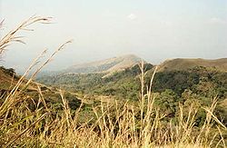 Paysage du Mont Nimba