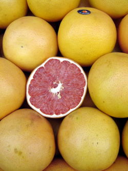  Fruits du Citrus ×paradisi