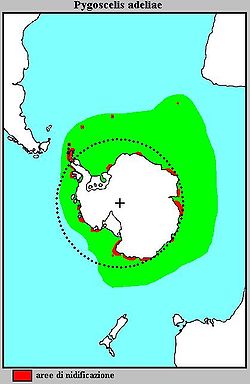 Ciconiiformes  Océan Austral, Antarctique  (en rouge, zones de nidification)