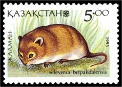  Selevinia betpakdalaensissur un timbre du Kazakhstan
