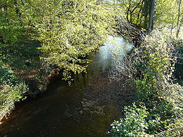 Le ruisseau du Mayne en limite d'Objat et de Saint-Cyr-la-Roche.