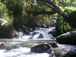 Le río Chama dans le parc de La Mucuy à Tabay (État de Mérida)