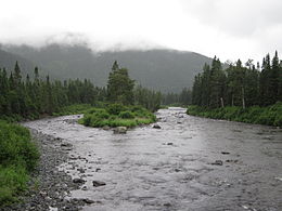 Rivière Cascapédia suite à sa confluence avec le Ruisseau aux Saumons dans le parc national de la Gaspésie.