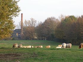 La tour de la verrerie blanche, actuellement détruite, témoignait encore en 2009 d'un passé industriel important. Aujourd'hui, certains agriculteurs élèvent des bovins dans le bocage anorien.