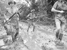 Australian troops at Milne Bay.jpg