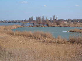 Vue de Bačko Gradište, depuis le lac éponyme