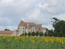 Chateau de rioux.jpg