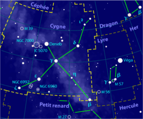 Image illustrative de l'article Cygne (constellation)