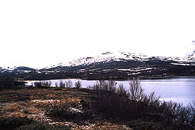 Image illustrative de l'article Parc national de Dovrefjell-Sunndalsfjella