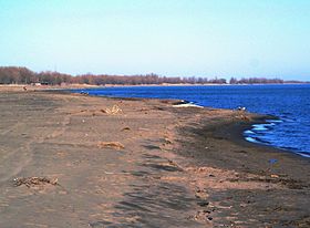 Image illustrative de l'article Réserve nationale de faune de Long Point