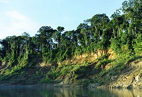 Image illustrative de l'article Parc national de Manú