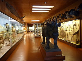Musée africain-Ile d'Aix2.JPG