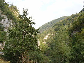 Les gorges de la rivière Prača près de Podgrab