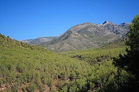 Image illustrative de l'article Parc naturel des Sierras de Tejeda, Almijara et Alhama