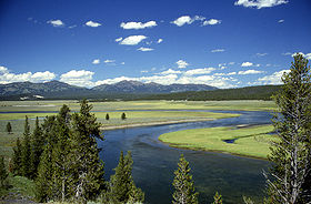 La rivière Yellowstone dans la caldeira.