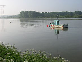 La Loire vue depuis Basse-Indre.