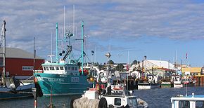 Port de Caraquet 6.JPG