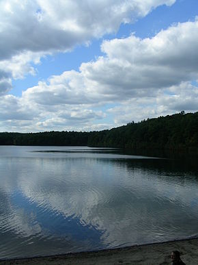 Vue sur l'étang de Walden et sur sa rive boisée qui s'étend sur la droite de l'image. Quelques gros nuages blancs remplissent le ciel bleu.