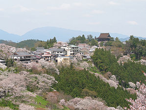 Cherry blossoms at Yoshinoyama 01.jpg