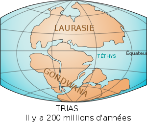 Laurasia-Gondwana fr.svg