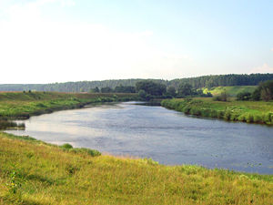 Ugra River.jpg