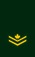 CDN-Army-MCpl.svg