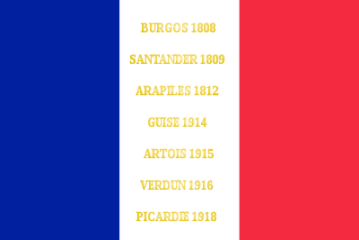 Drapeau du 119e régiment d'infanterie de l'armée française, avec ses batailles.