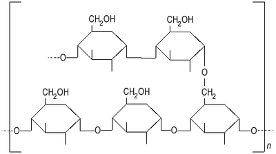 Figure 1 : Amylopectine.