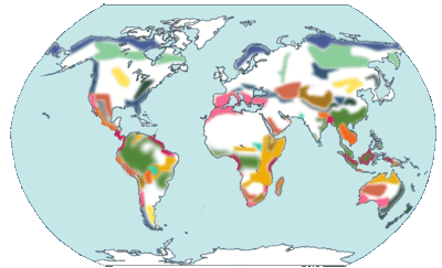 Map-ecoregions-terrestres.gif