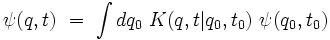  \psi(q,t) \ = \ \int dq_0 \ K(q,t|q_0,t_0) \  \psi(q_0,t_0) 