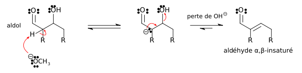 Mécanisme de la crotonisation de l'aldol en milieu basique.