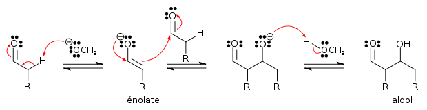 Mécanisme de la réaction d'un aldéhyde avec lui-même en catalyse basique.