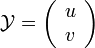 \mathcal{Y} = \left(\begin{array}{c} u \\ v \end{array}\right)