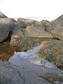 Harbor Tidal Pool (Matinicus Island, ME).jpg